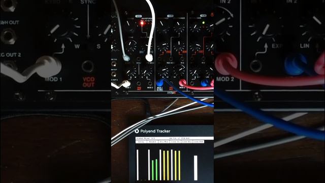 System 80´s 810 Mk2 funk with the Polyend Tracker #stazma #eurorack #polyendtracker смотреть онлайн