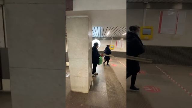 15 04 2020 Макароновирус пропуск в Метро не проверяют вопреки слухам смотреть онлайн