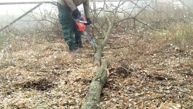 обкатка Олео Мак