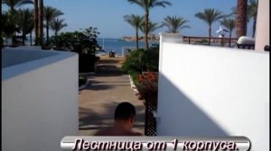 Iberotel Palace 5 *Шарм Эль Шейх