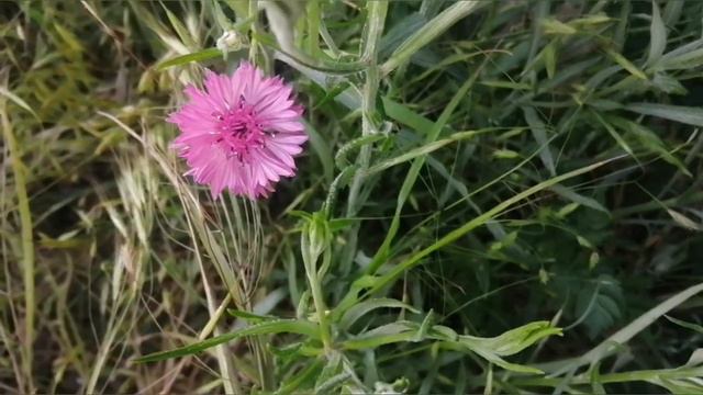 Николаев 18 мая 2022г. вечер смотреть онлайн