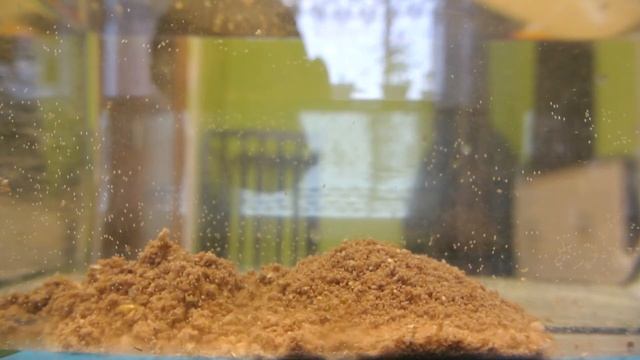 Прикормка Flagman большая плотва