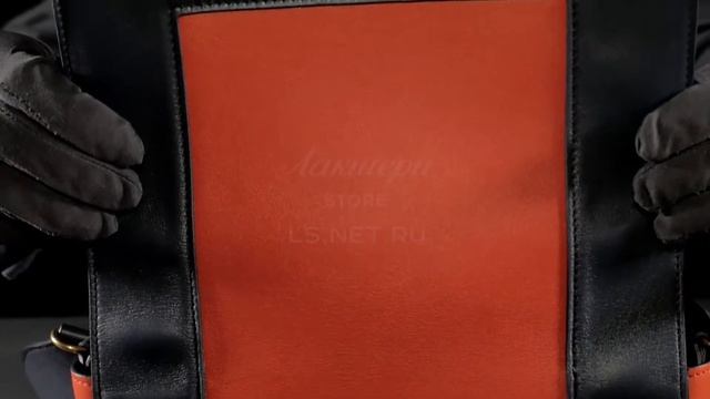 Женская сумка Frame от Celine, матовая кожа, review: ID 161964 смотреть онлайн