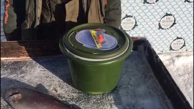 Три Пескаря !!! смотреть онлайн