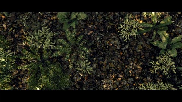 Project Confident - Official Trailer [HD] смотреть онлайн