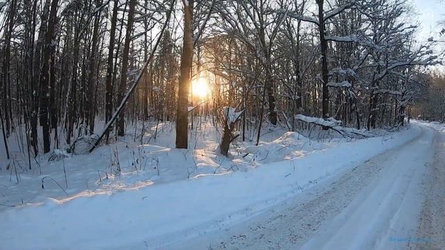 Безумно красивая неземная музыка! Расслабляющее видео, лесная прогулка смотреть онлайн
