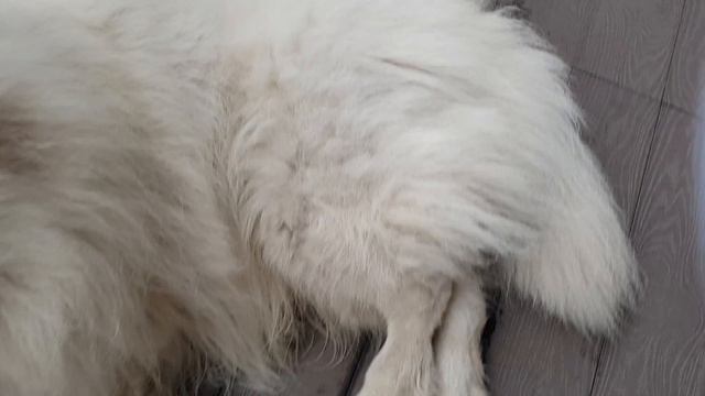 Кто когда родился? смотреть онлайн