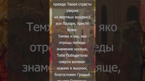 Вход Господень в Иерусалим Тропарь глас 1 с текстом
