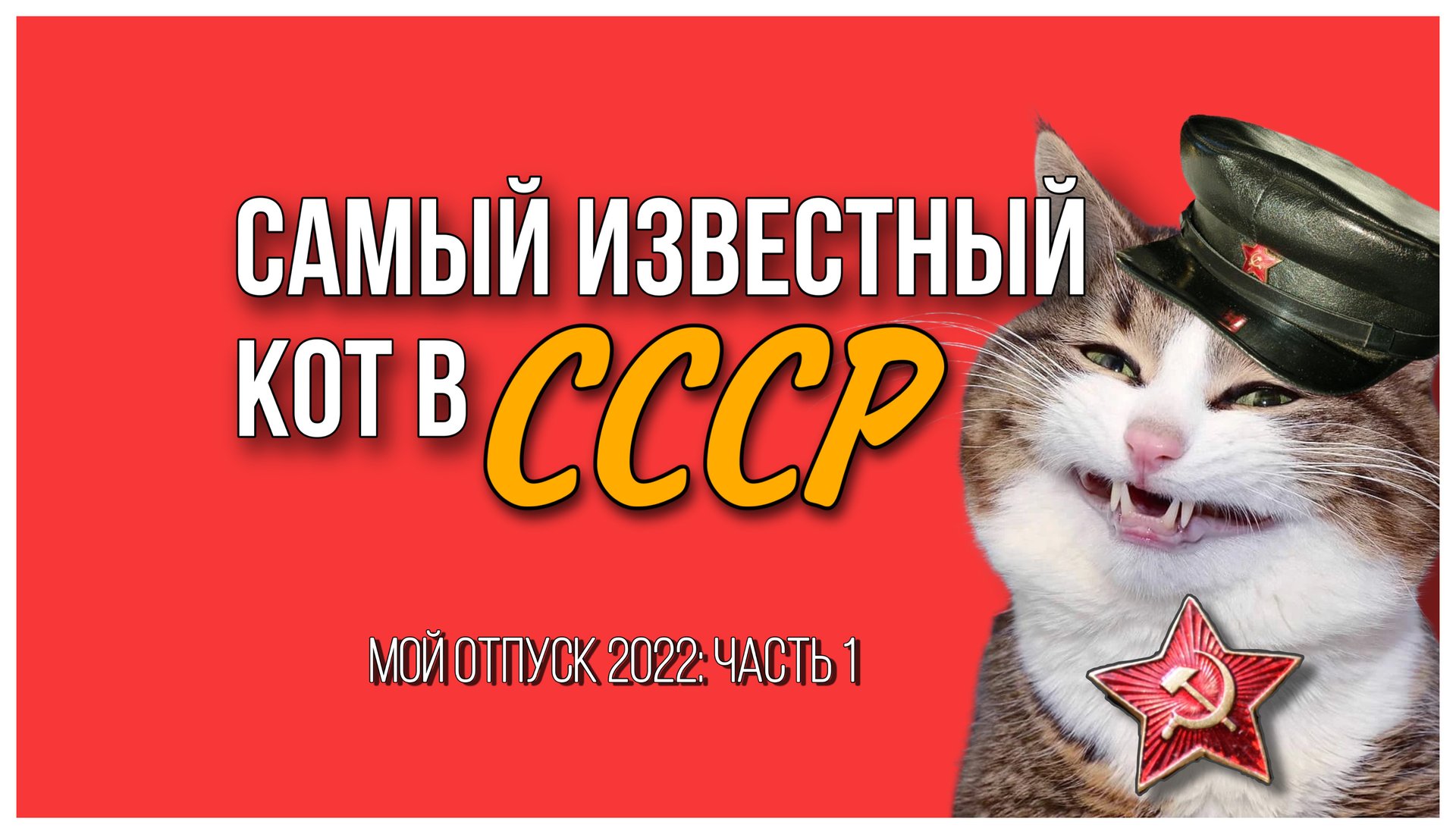 Воронеж / Кот с улицы Лизюкова / Путешествие / СССР / Животные / Россия / Интересные места Россия смотреть онлайн