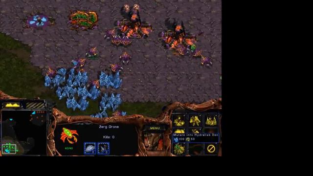 Starcraft Original Zerg Campaign P1: Among the Ruins смотреть онлайн