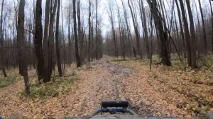 В леса на Polaris RZR HighLifter 1000 / Поларис РЗР Хайлифтер 1000