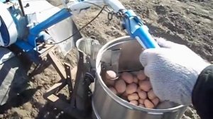 Картофелесажалка своими руками мотоблок нева МБ-2