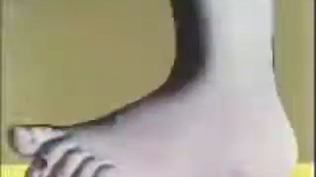 Monty Python Flying Circus Intro смотреть онлайн