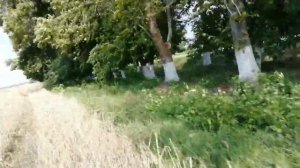 Мотоцикл тула по бездорожью.