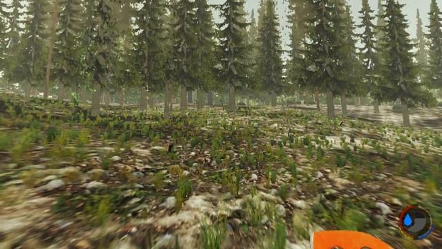 The Forest.-#4-Нашли кабанов в обнове!!! смотреть онлайн