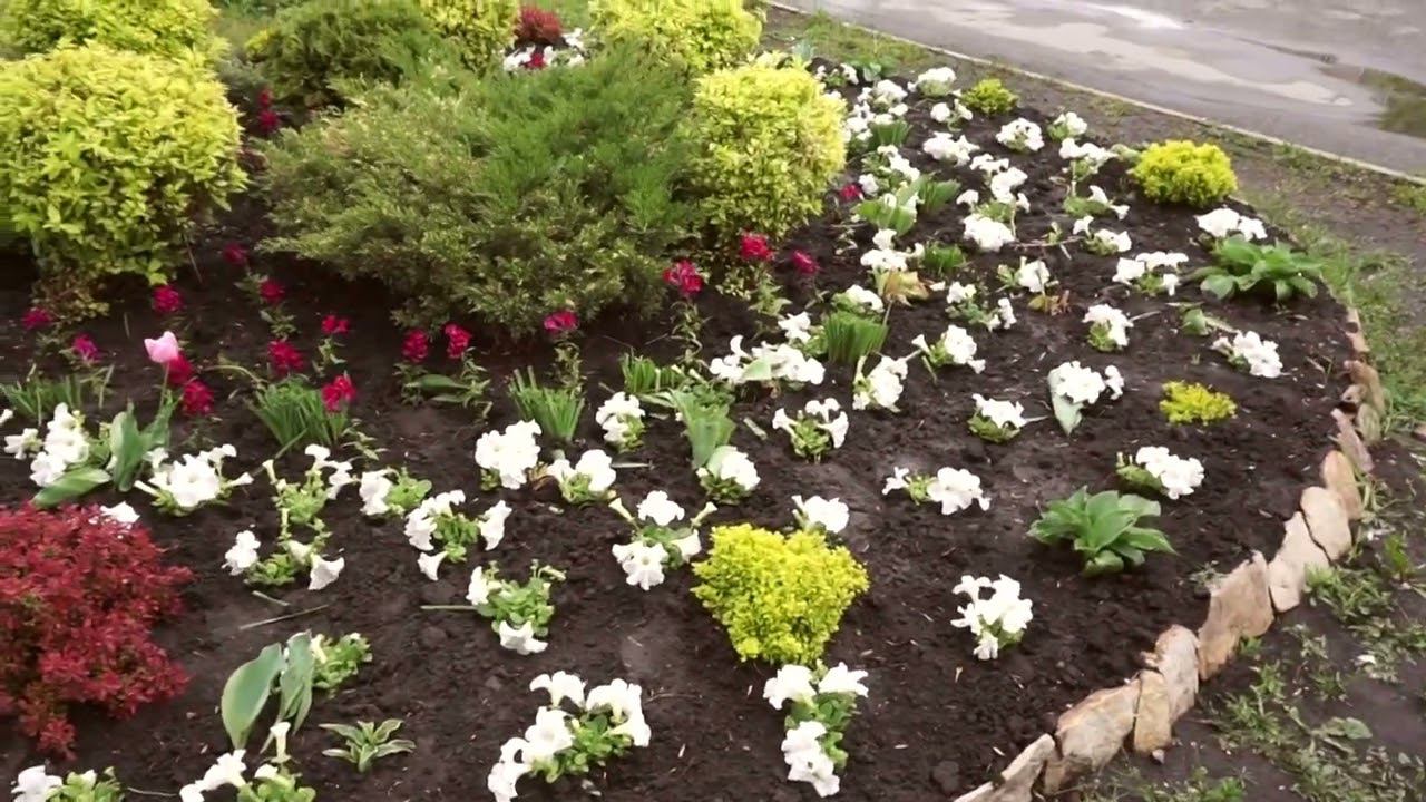 Мы всегда рады видеть Вас в нашем медицинском центре! смотреть онлайн