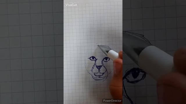 Как нарисовать пушистого кота синей ручкой для самых начинающих(поэтапно)рисуем мордочку котика смотреть онлайн