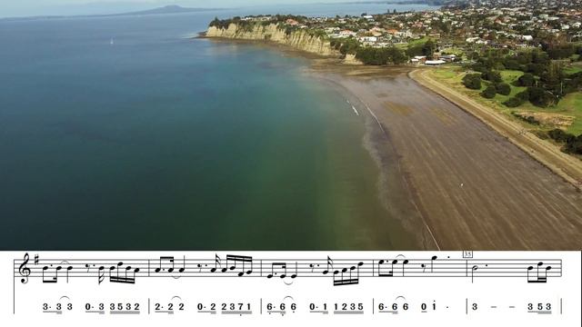 《Bie Zhi Ji 别知己》D Key Dizi Flute Cover+Video Score+Finger Chart @dantangflute смотреть онлайн