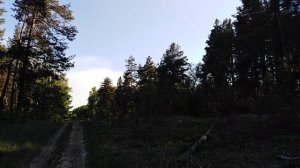 Природа Весной