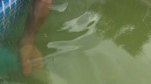 Сборка и Установка Скиммера в Каркасном Бассейне INTEX