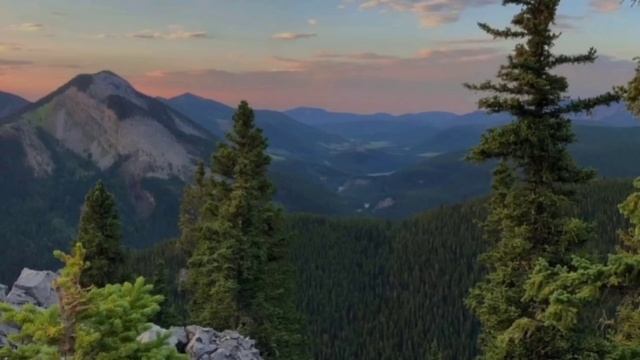 Муж никогда не платил за жену , свои деньги нужно иметь , говорил он . смотреть онлайн