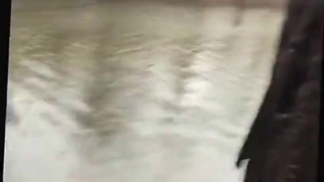 Дерево в Огне смотреть онлайн