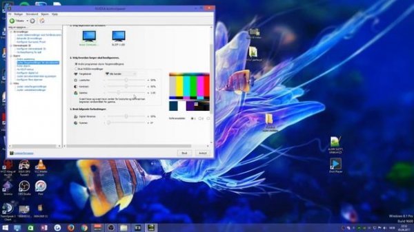 DIGITAL VIBRANCE SETUP! COLORFUL IN-GAME AND DESKTOP (NVIDIA)