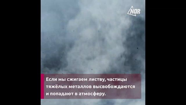 Почему нельзя сжигать опавшую листву смотреть онлайн