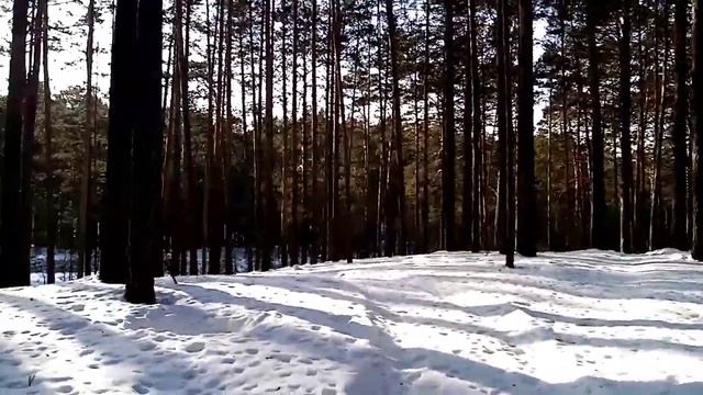 КАК ОДЕВАТЬСЯ НА ЗИМНЮЮ ТРЕНИРОВКУ/ЗИМНЯЯ ПРОБЕЖКА смотреть онлайн