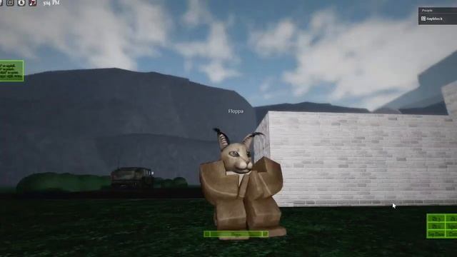 Roblox Floppa (Avatar Build) смотреть онлайн