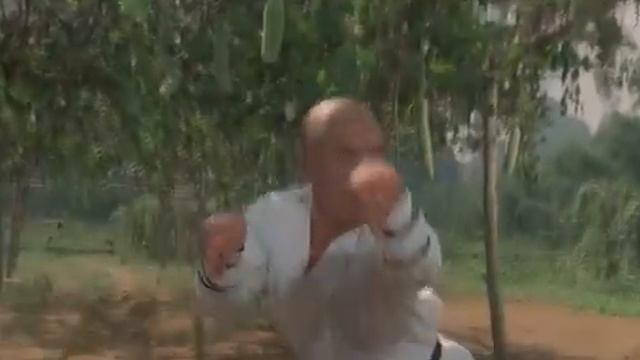 Стиль "Богомола" и шест,против китайского меча...... смотреть онлайн