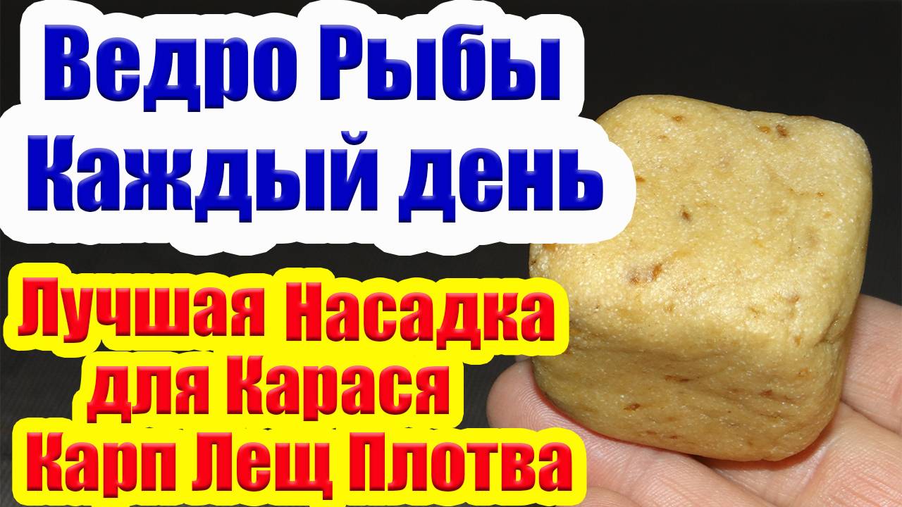 Насадка на Карася Карп Лещ Супер Рыболовная Насадка для карася смотреть онлайн