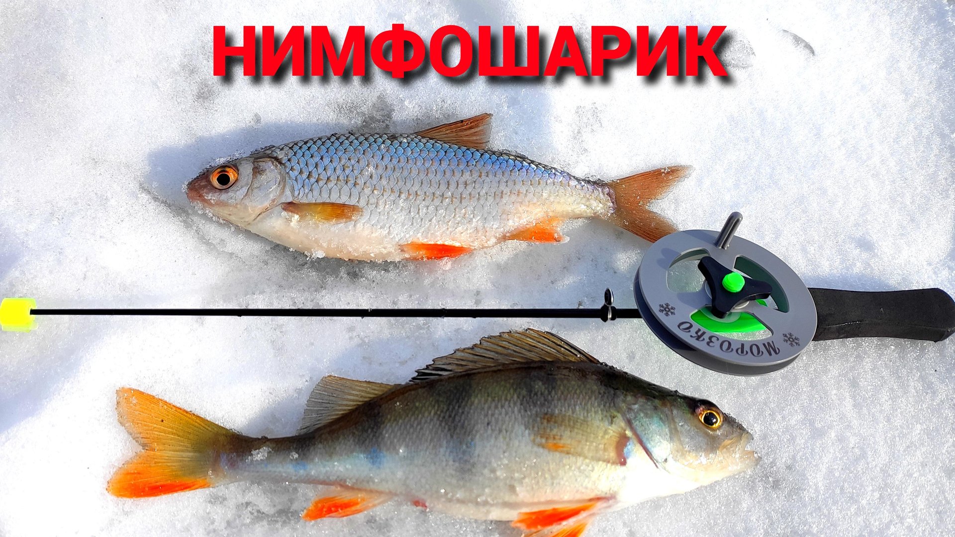 НИМФОШАРИК ловит и на ОКЕ. Рыбалка на реке в конце февраля. смотреть онлайн