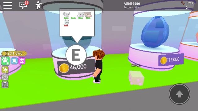 1#pet simulation я в карте номер два за 25 000 роблокс roblox смотреть онлайн