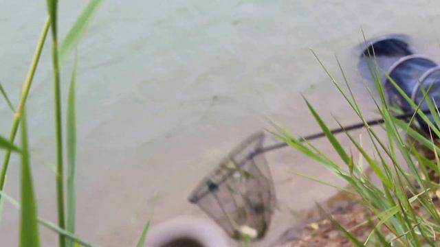 выезд на кубань смотреть онлайн