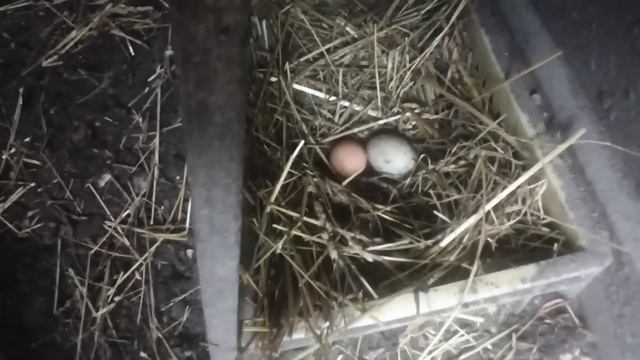 На рыбалку! смотреть онлайн