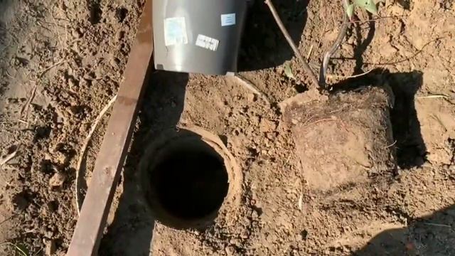 САЖАЕМ ЛЕТОМ САЖЕНЕЦ СЛИВЫ "ГОЛЛИВУД" МЕТОДОМ ПЕРЕВАЛКИ смотреть онлайн
