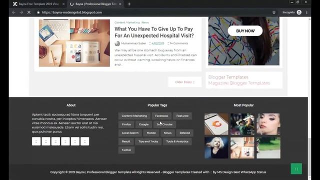 bayna free template for website 2019 | blogger | wordpress | virus clean | смотреть онлайн