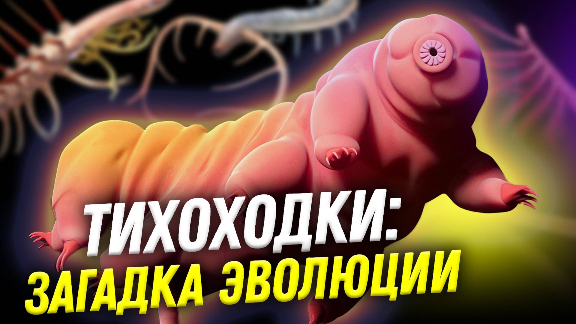 Тихоходки: загадка эволюции | День Недостающего Звена 2-1 | Денис Туманов смотреть онлайн