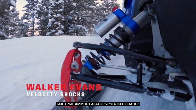 Абсолютно новый Indy XCR