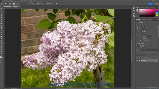 Learn How to Use the Burn Tool in Adobe Photoshop: A Training Tutorial смотреть онлайн