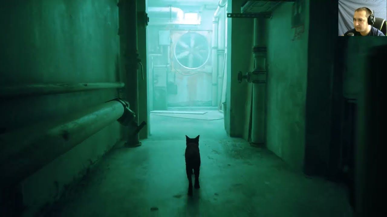 Stray #2 Механический друг! смотреть онлайн