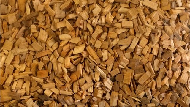 Декоративные крысы - уход и содержание | Как ухаживать за крысой? смотреть онлайн