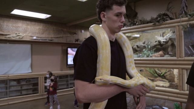Holding 200+ LB Python and 15’ Alligator W/ @jirahmilan and @JayPrehistoricPetsTV смотреть онлайн