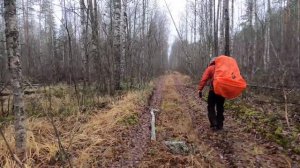 УНЖЛАГ. Старые лежнёвки. ОЛП 19 и 8. ПОКИНУТЫЕ посёлки Красный и Плоска. Старые лыжи и лесные камни