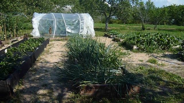 ПРИВОЖУ ДАЧУ В ПОРЯДОК. смотреть онлайн