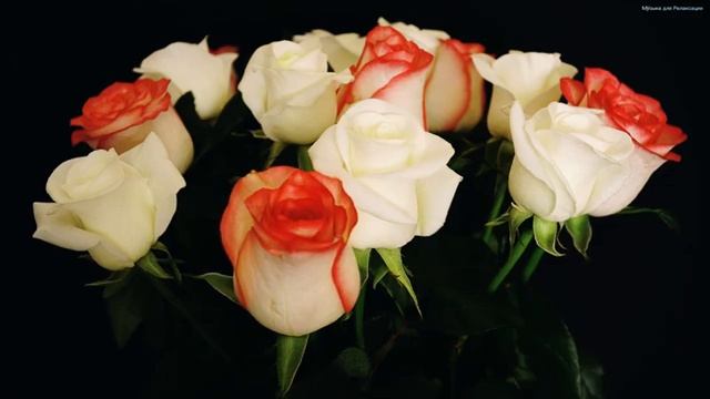 Самая красивая мелодия в мире! Самые красивые и волшебные песни о любви! Музыка Сергея Грищука #3