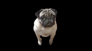 ЧЕЕЕЕЕЕЕЕЕ?!?!!?!?!!??!??!