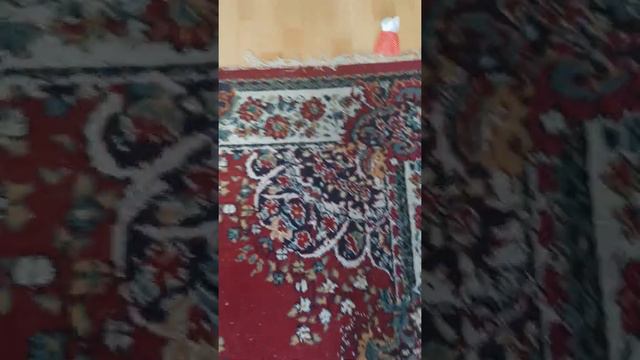 У КОТА ДЕНЬ РОЖДЕНИЕ Я ЗАБЫЛА:(! смотреть онлайн