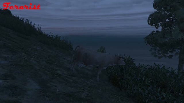 GTA V - Голубь-засранец смотреть онлайн